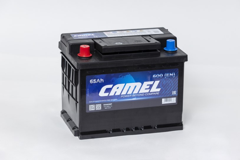 

Аккумулятор Camel 65 600А п/п 242х175х190 (L2)