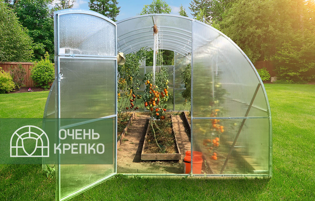 

Теплица Звезда 3м (8 / 9 / Базовый 6мм / 3), Прозрачный, Арочные