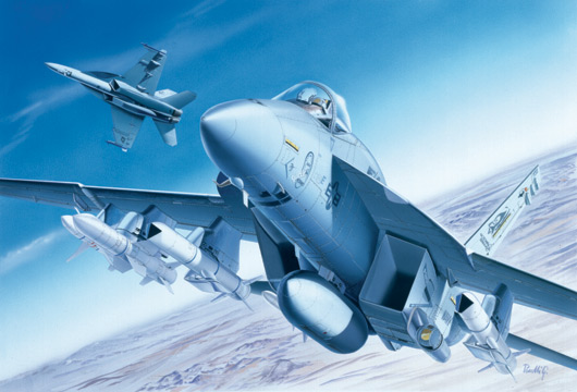 

Сборная модель Italeri 1/72 Самолет F/A-18 E Super Hornet 0083