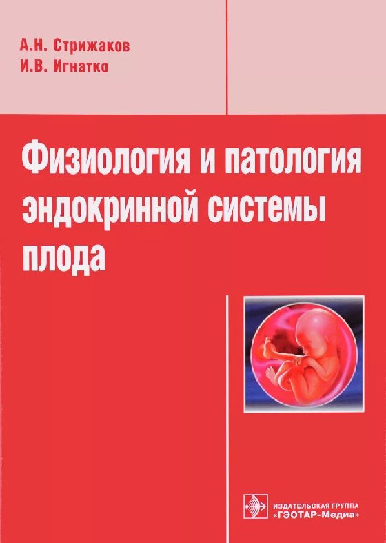 

Физиология и патология эндокринной системы плода