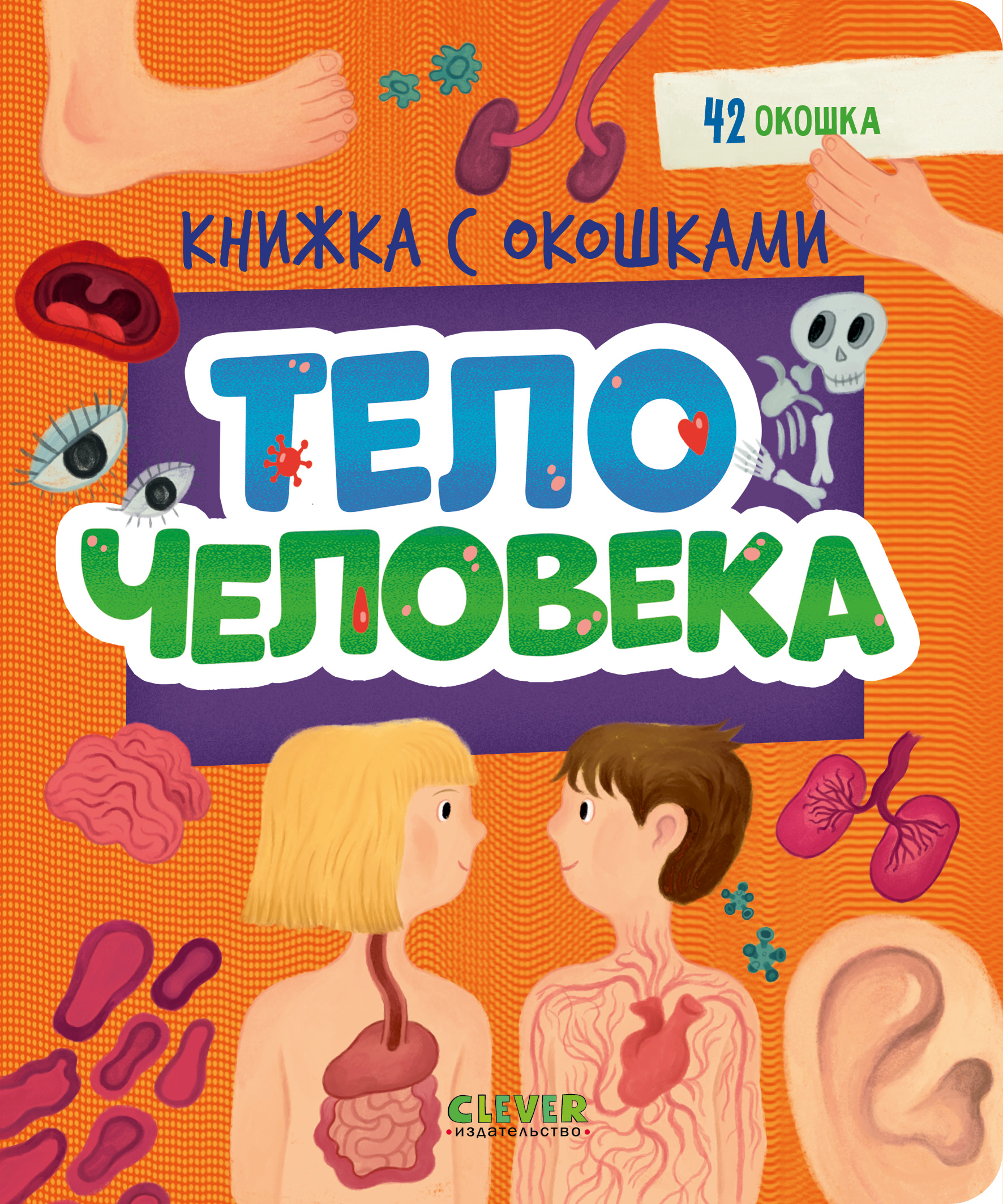 

Тело человека