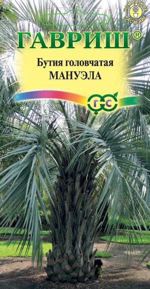 

Семена бутия головчатая Мануэла Гавриш 24508 1 уп.