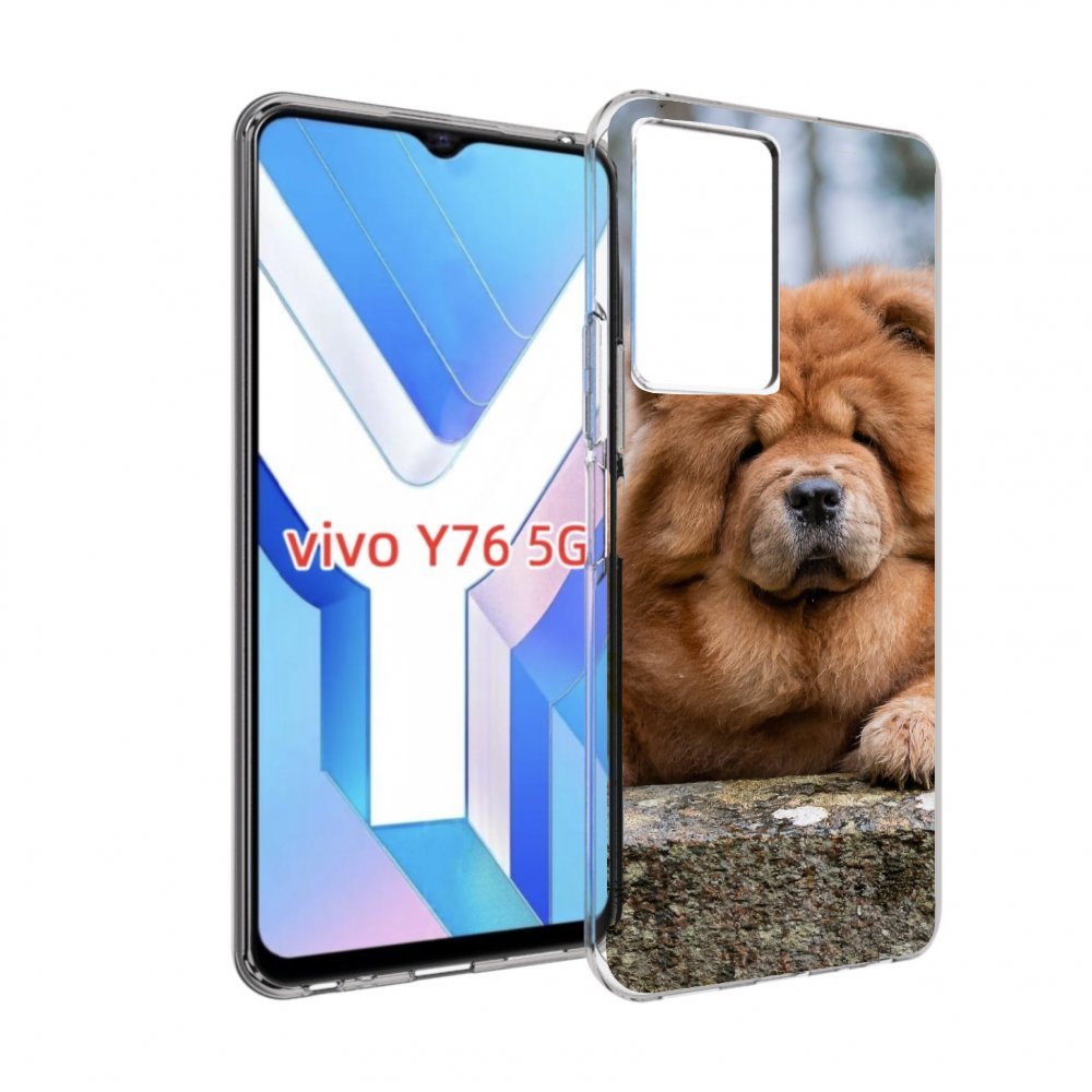 

Чехол MyPads чау чау для Vivo Y76 5G, Прозрачный, Tocco