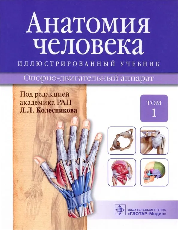 

Анатомия человека : иллюстр. учебник : в 3 т. : Т. 1. Опорно-двигательный аппарат