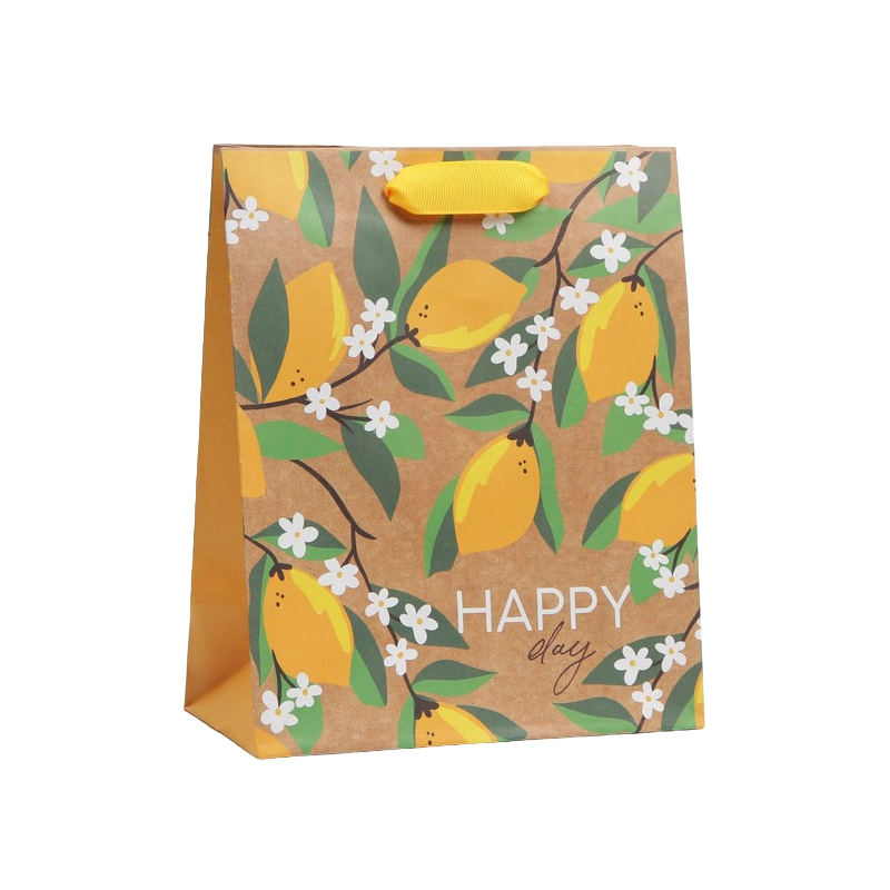 

Пакет подарочный Дарите Счастье Happy Day 18 х 23 х 8 см, Разноцветный