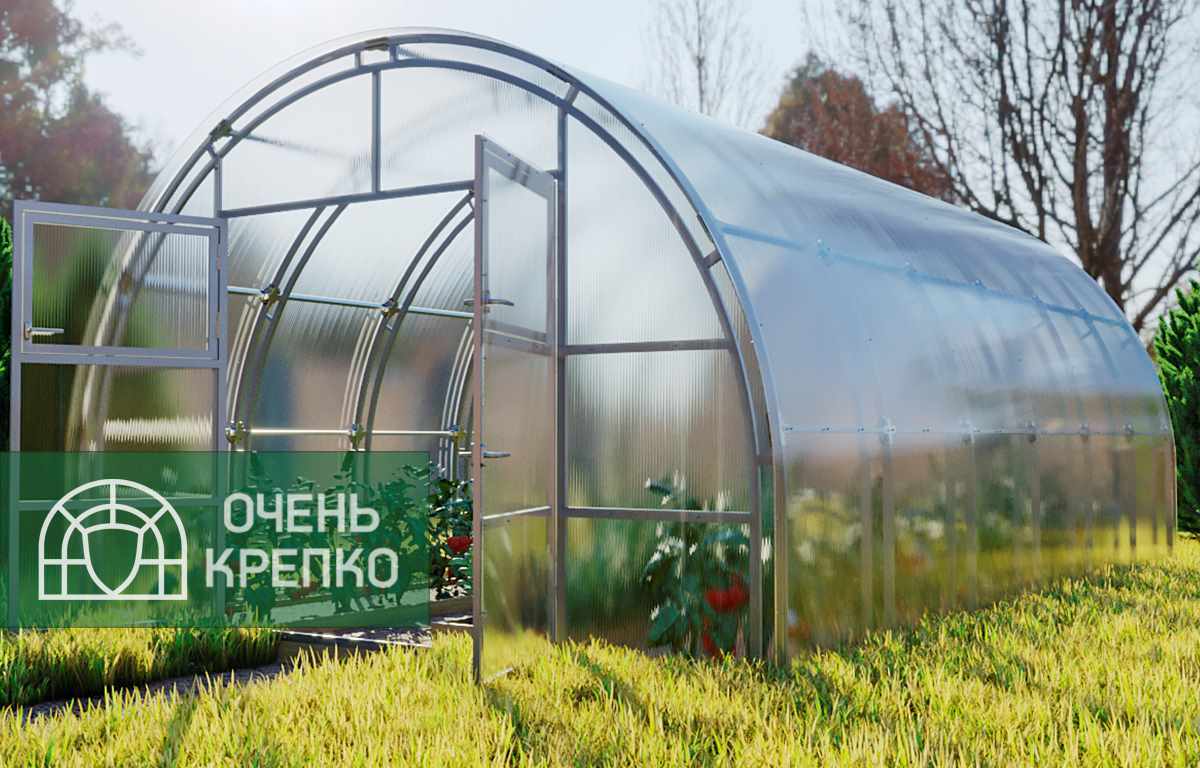 

Теплица Усиленная Титан 4м (2 / 11 / Базовый 6мм / 4), Прозрачный, Арочные