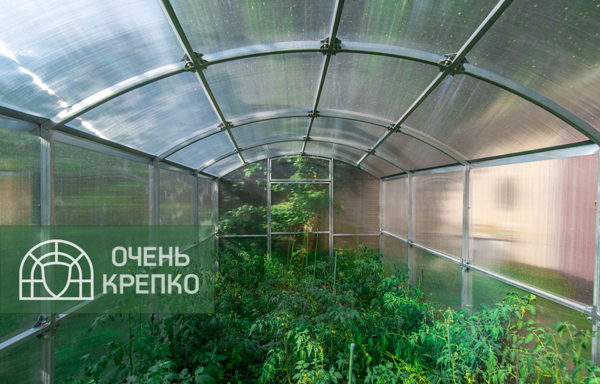 

Теплица Квадратная 2,5м (2 / 7 / Премиум / 2.5), Прозрачный, Прямостенные