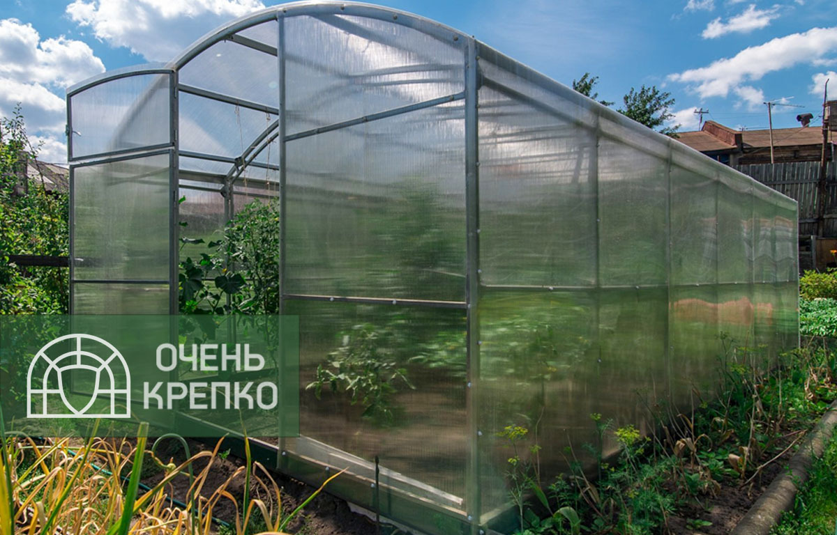 

Теплица Сказка 2,5м (4 / 7 / Базовый / 2.5), Прозрачный, Прямостенные