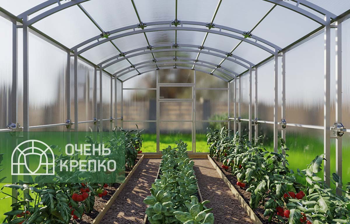 

Теплица Сказка Титан 3м (4 / 9 / Базовый / 3), Прозрачный, Прямостенные