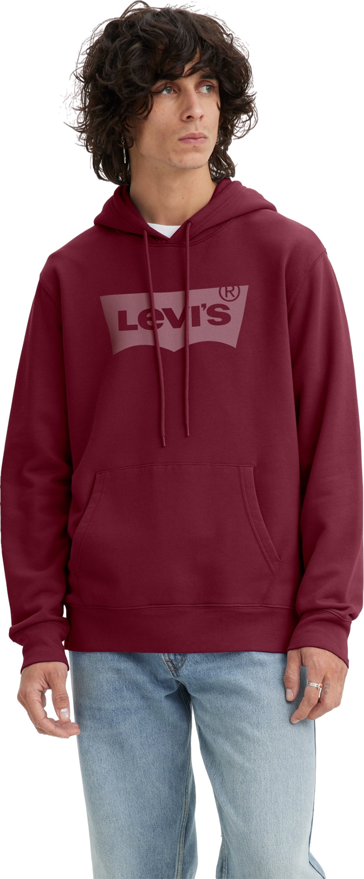 

Худи мужское LEVIS Men Standard Graphic Hoodie бордовое M, Бордовый, Men Standard Graphic Hoodie