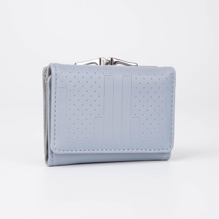 

Кошелек женский NoBrand 5373903, голубой, 5373903