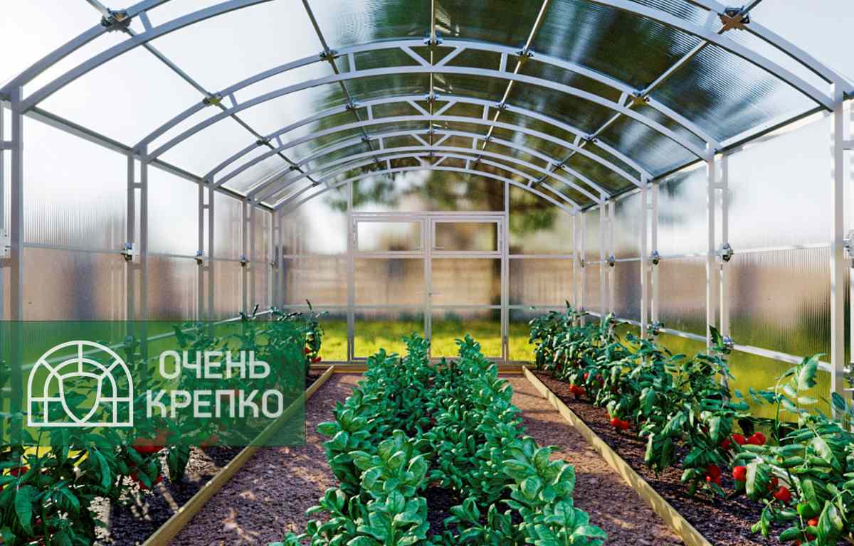 

Теплица Сказка Титан 4м (6 / 11 / Премиум / 4), Прозрачный, Прямостенные