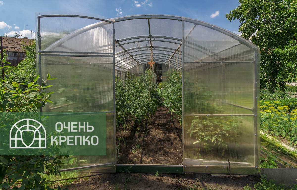 

Теплица Сказка 3м (6 / 9 / Базовый / 3), Прозрачный, Прямостенные