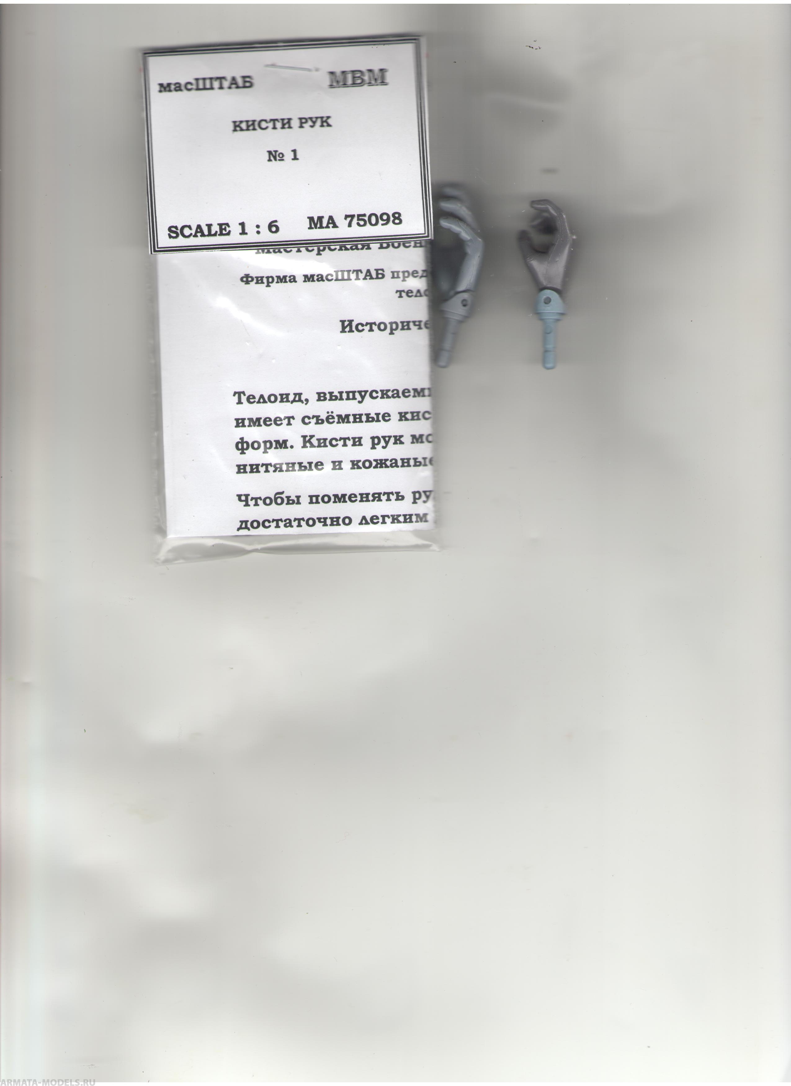 

75098 Руки телоида 1
