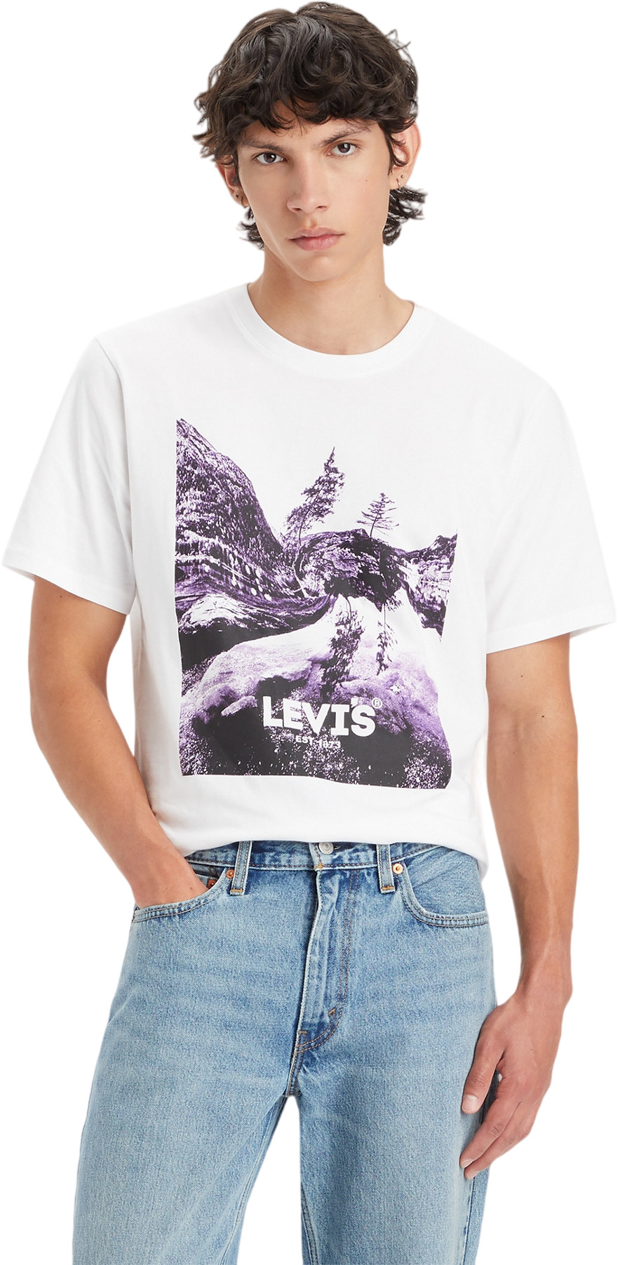 

Футболка мужская Levi's SS RELAXED FIT TEE WHITES белая M, Белый, SS RELAXED FIT TEE WHITES