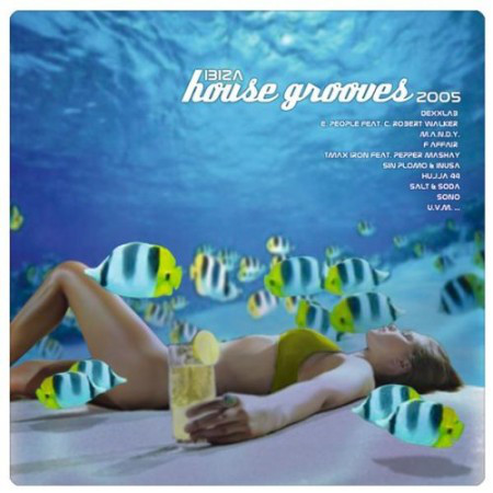 

Ibiza House Grooves 2005 (1 CD)