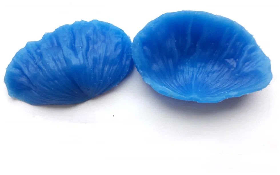 Вайнер Ирис Бородатый лепесток 6х5 см.