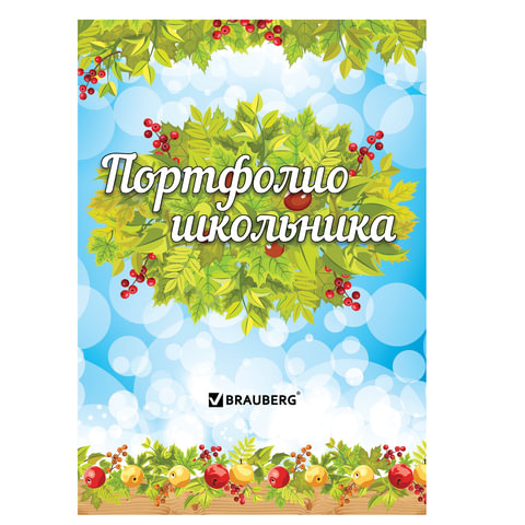 Портфолио ШКОЛЬНИКА BRAUBERG 16 л внутренний блок титульный лист содержание 14 разделов 100028335556