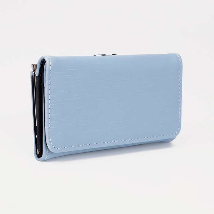 

Кошелек женский NoBrand 7393264, голубой, 7393264