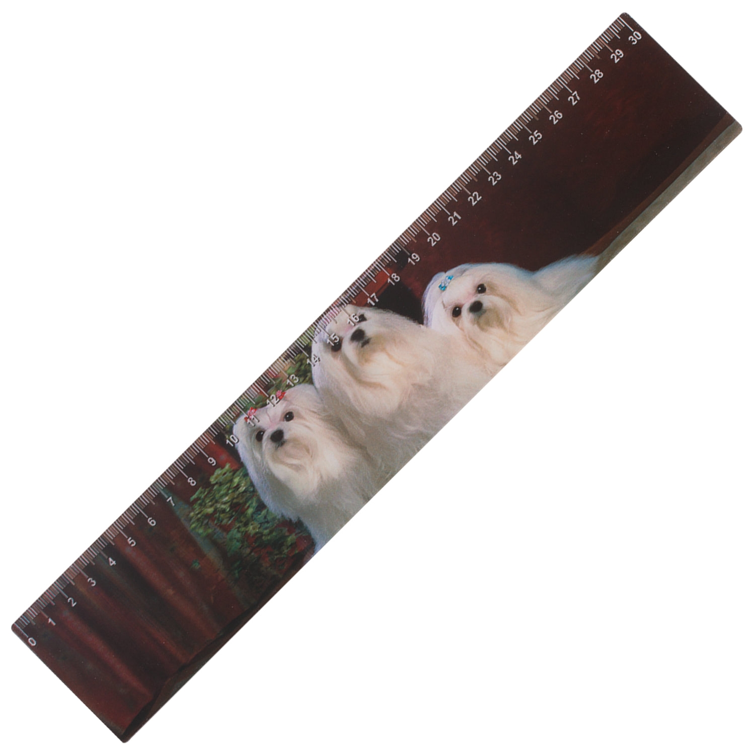 

Линейка 3D, 30 см, BRAUBERG, объемная, "Собаки", европодвес, 210588