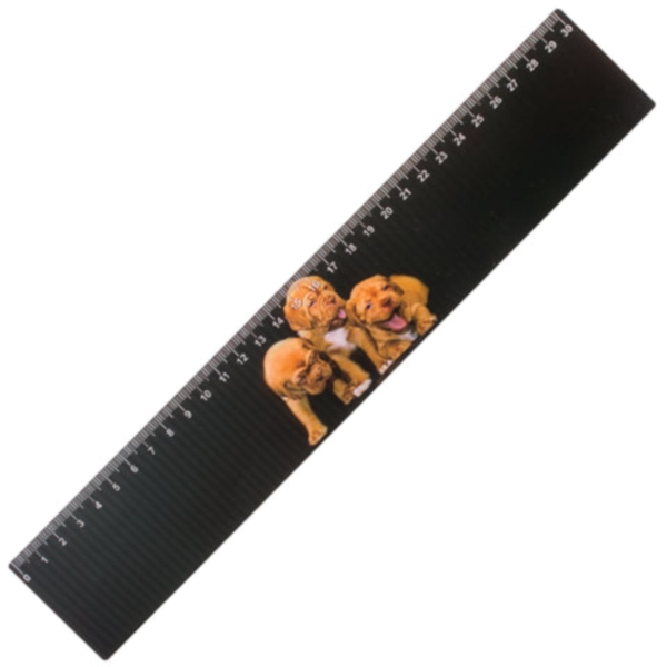 

Линейка 3D, 30 см, BRAUBERG, объемная, "Щенки на черном", европодвес, 210594