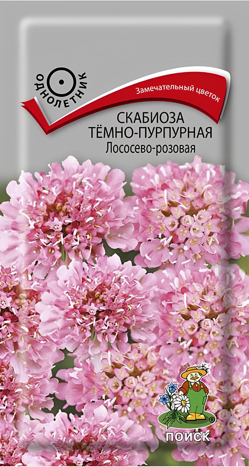 

Семена скабиозы темно-пурпурная ПОИСК Лососево-розовая 0,2 гр