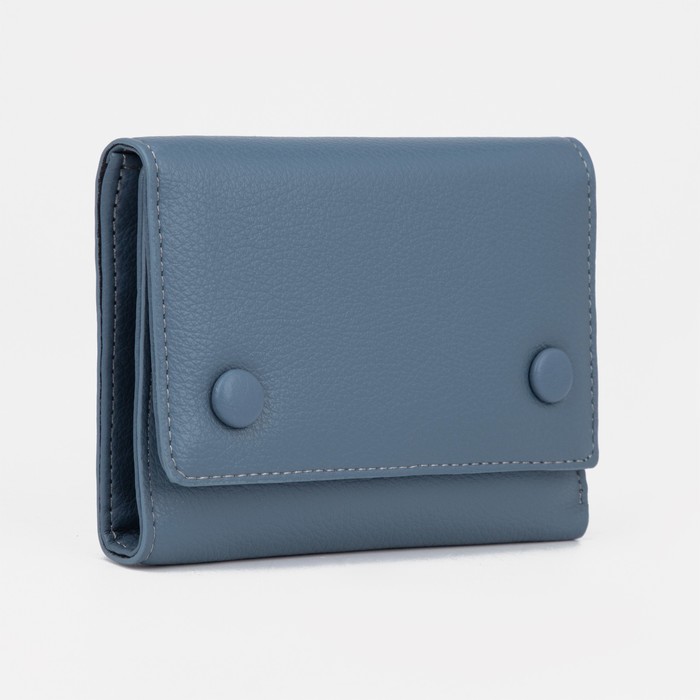 

Кошелек женский NoBrand 9352306, голубой, 9352306