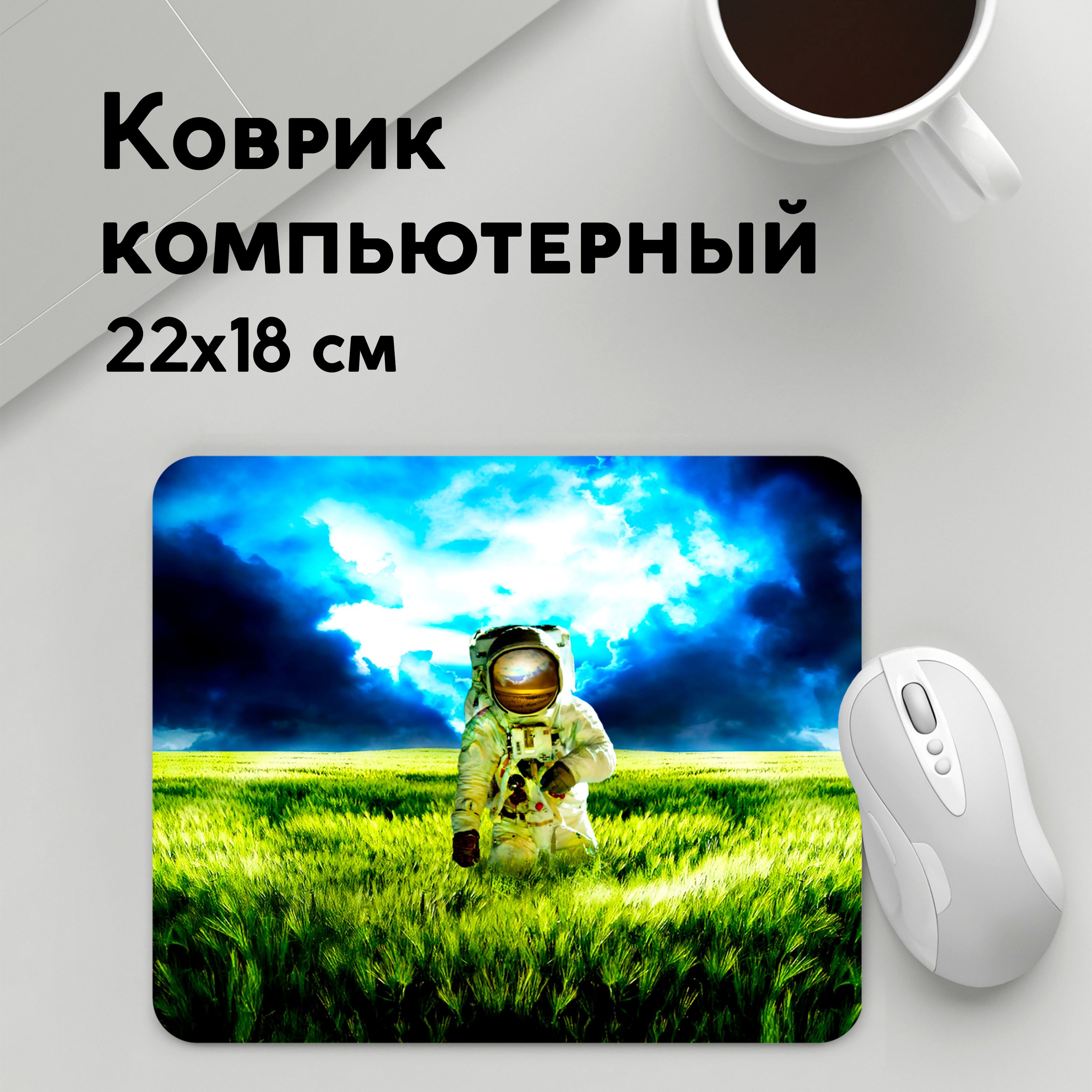 

Коврик для мышки PANiN Первыи (MousePad22x18UST1UST1215412)