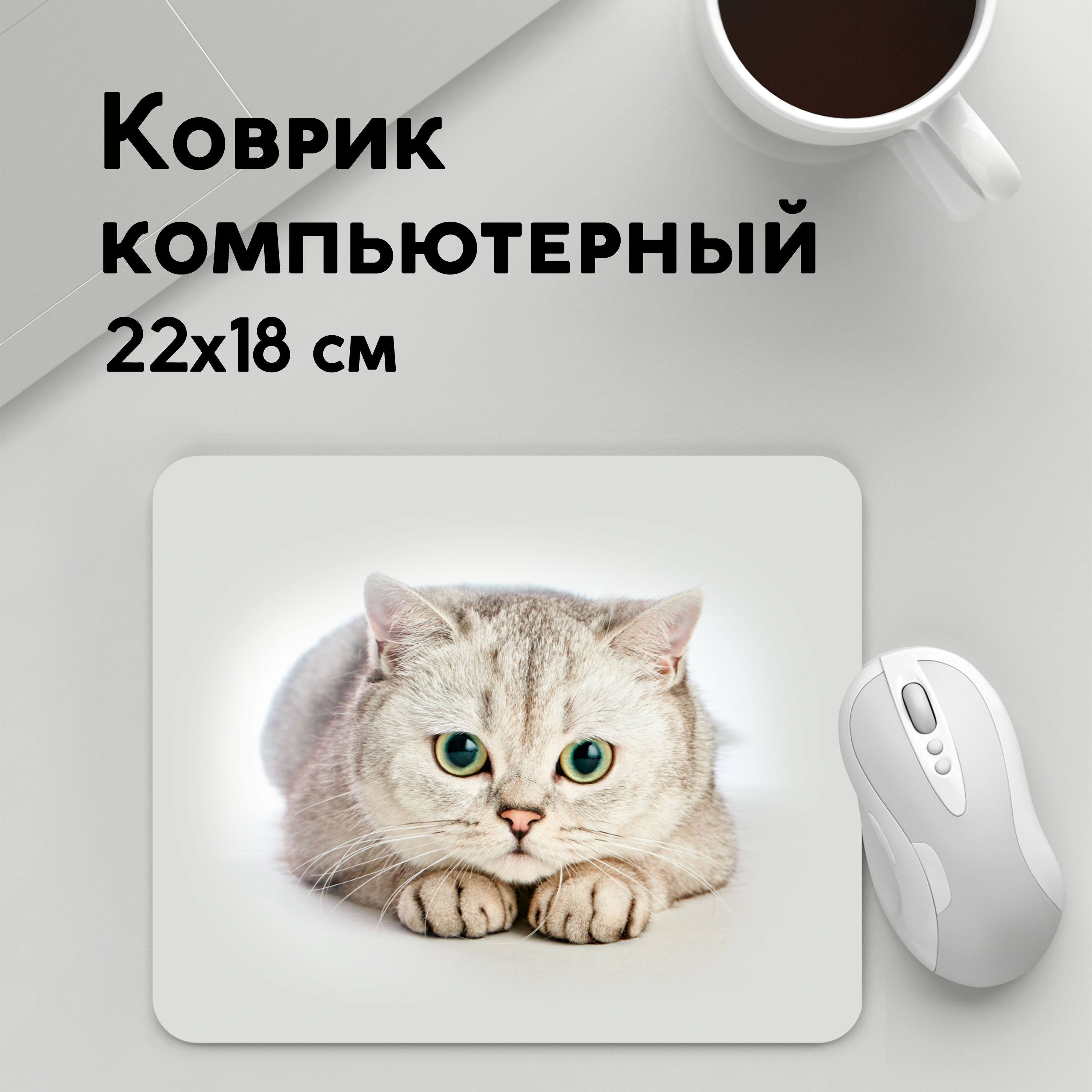 

Коврик для мышки PANiN Британец 6 (MousePad22x18UST1UST1029406)