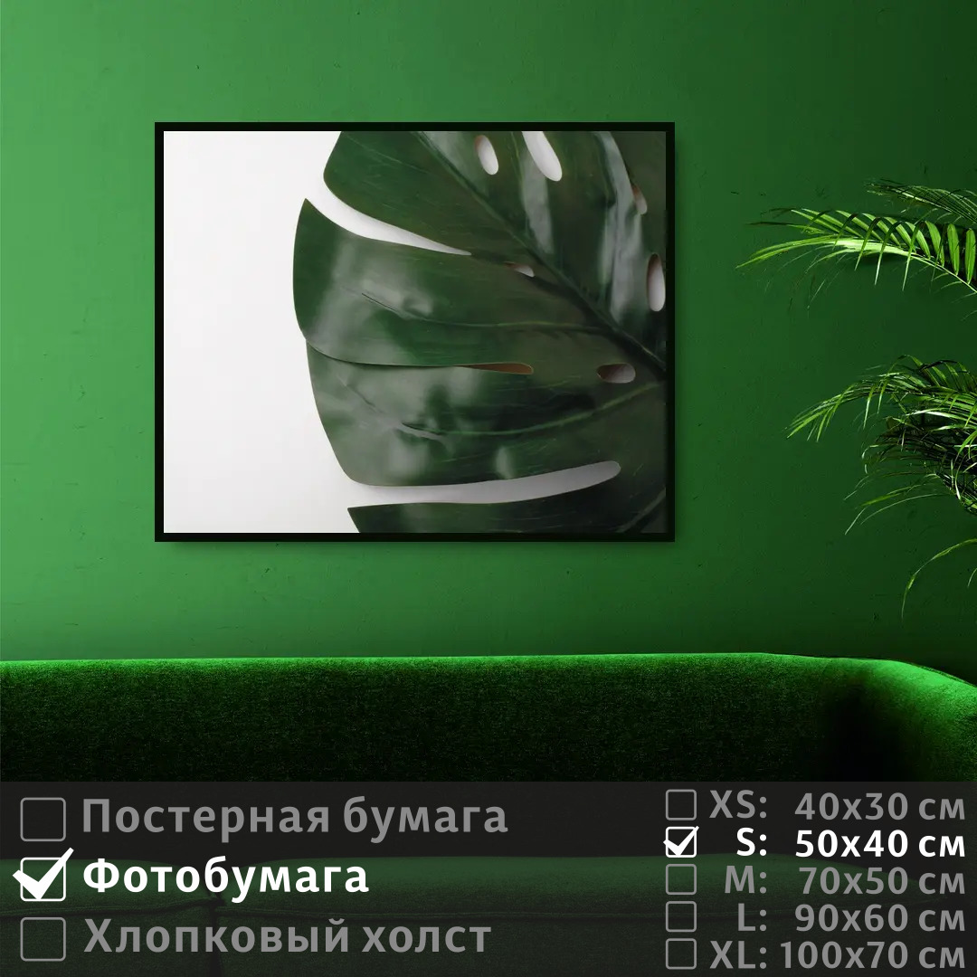 

Постер на фотобумаге ПолиЦентр Лист монстеры 50х40 см, ЛистМонстеры