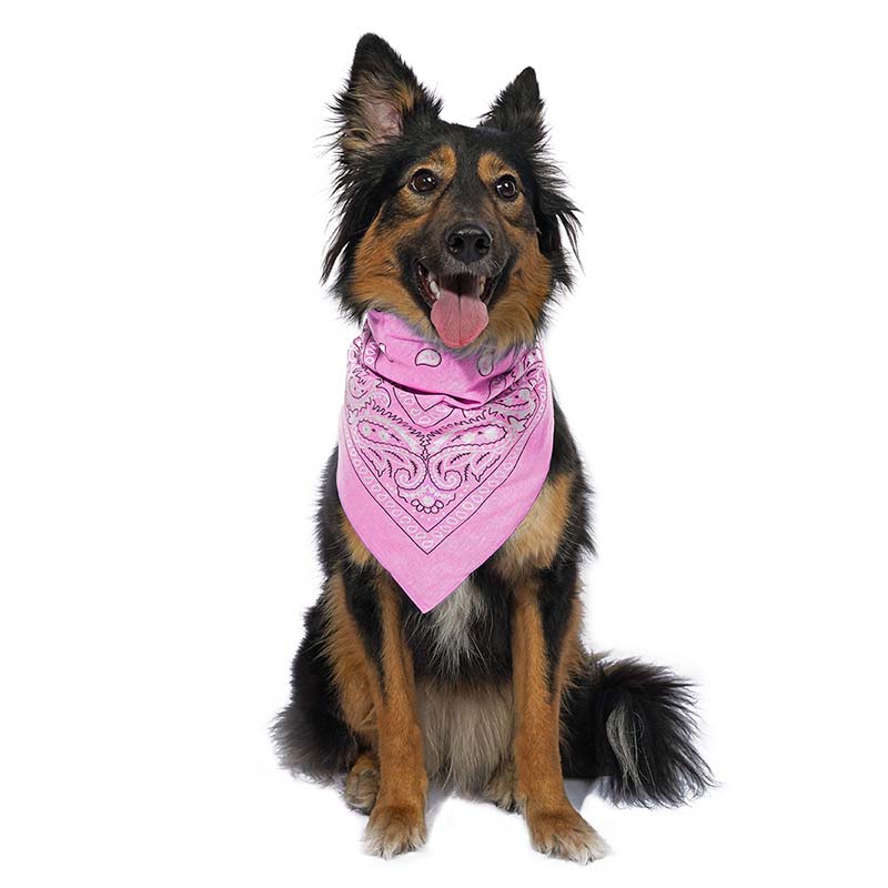 фото Бандана для собак baziator унисекс, демисезон, розовый,