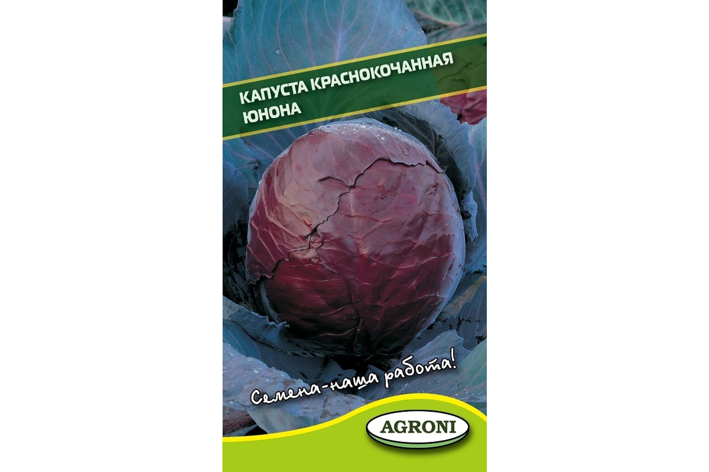 

Семена капуста краснокочанная Агрони Юнона 4278 1 уп.