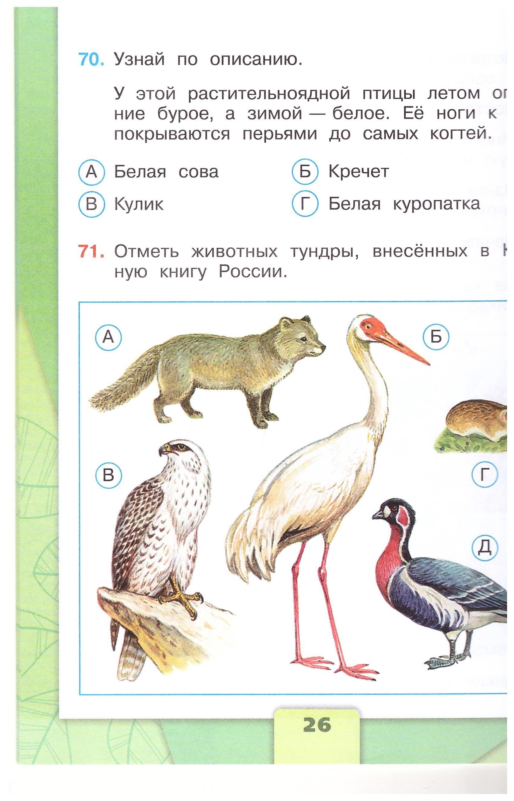 Окружающий Мир 3 Класс Перспектива Купить