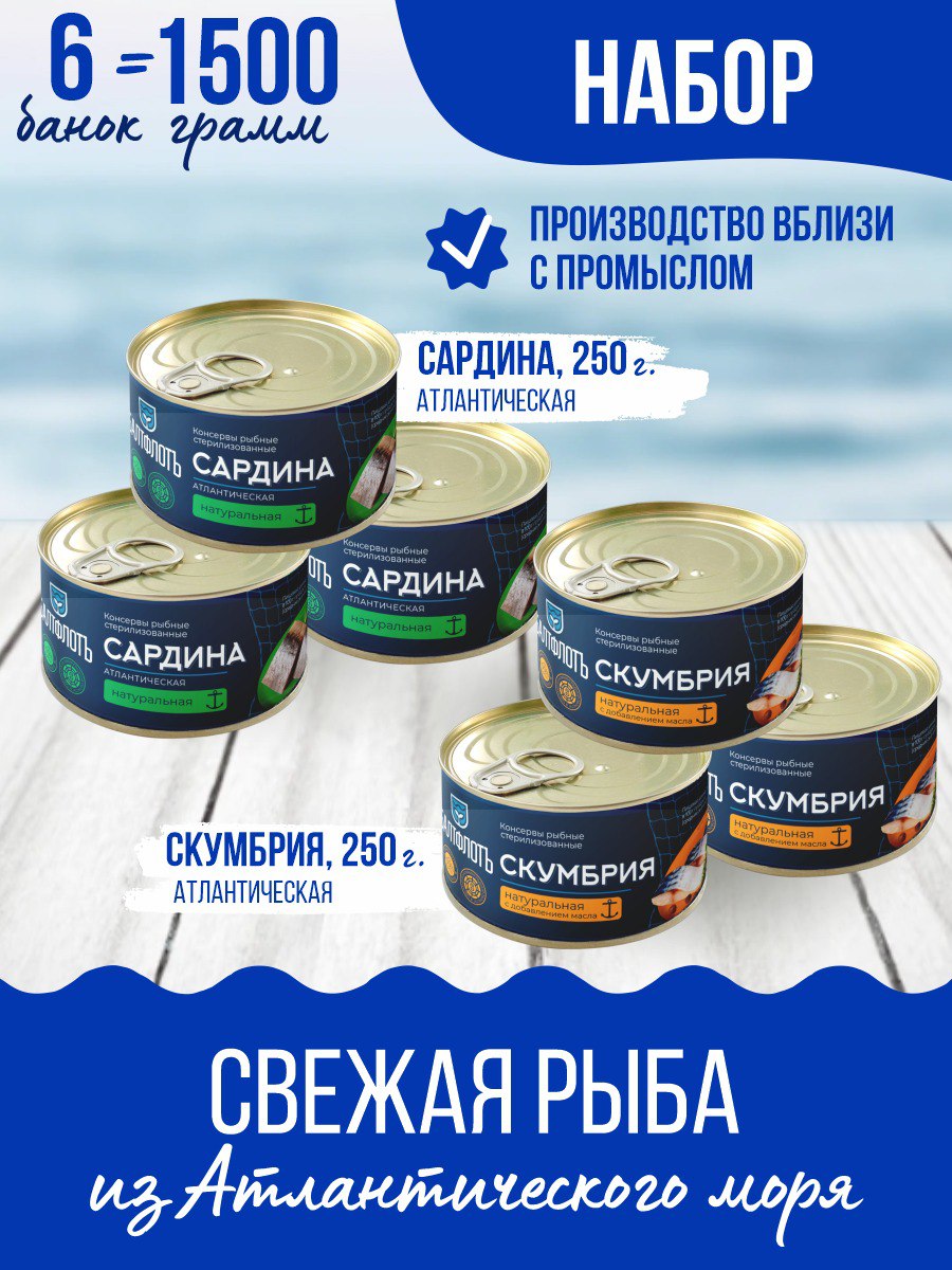 Скумбрия с маслом и сардина Балтфлотъ, 250 г х 6 шт