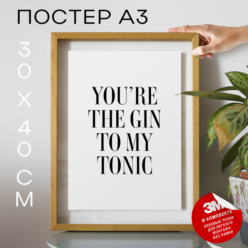

Плакат The Gin to My Tonic А3 DSP179094 30х40, рамка А3, DSP179094