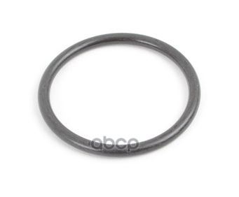 

Кольцо Уплотнительное Патрубка Радиатора MERCEDES-BENZ арт. A0269976745