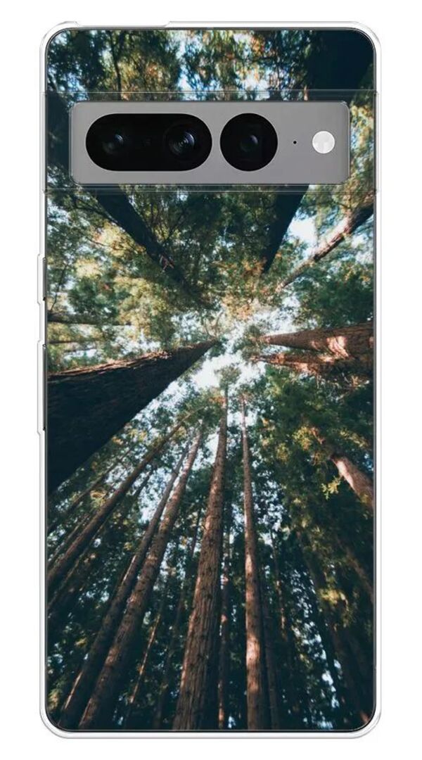 

Чехол Awog на Google Pixel 7 Pro "Лес 18", Разноцветный