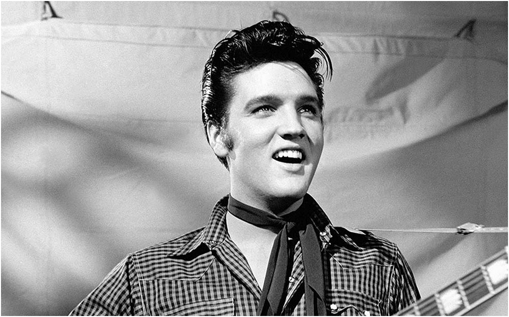 

Картина на холсте с подрамником ХитАрт Elvis 40x25 см, 657