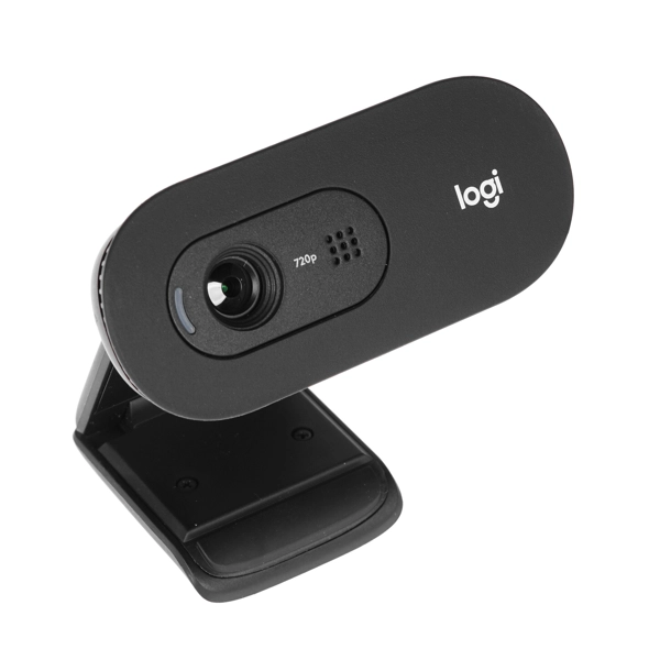 Web-камера Logitech C505  (960-001364)