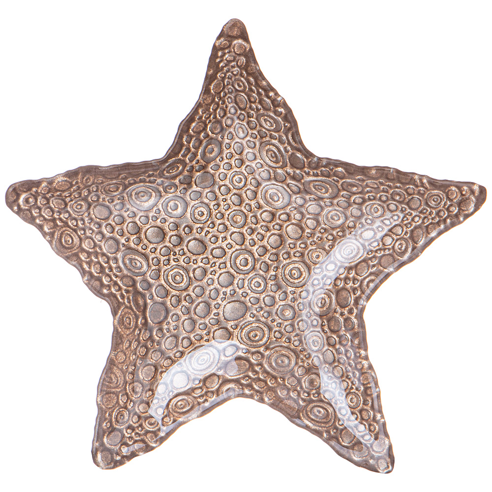 

Набор из 6 штук Блюдо Bronco Starfish sand 28см стекло 336-084_, Бежевый
