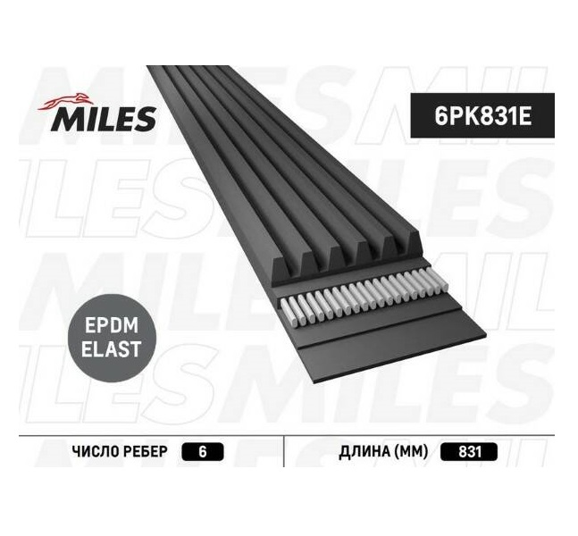 

MILES 6PK831E Ремень поликлиновой 6PK831E