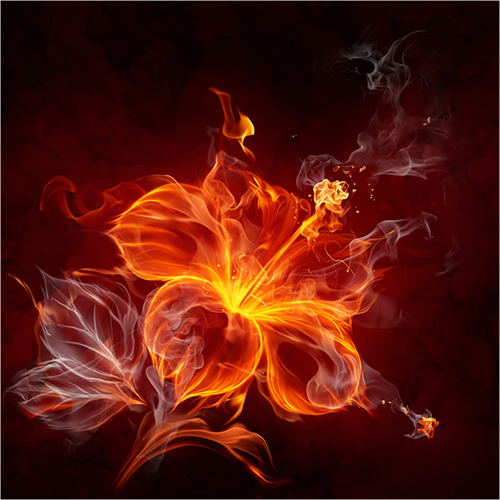 

Картина на холсте с подрамником ХитАрт Цветок в огне 100x100 см, 71