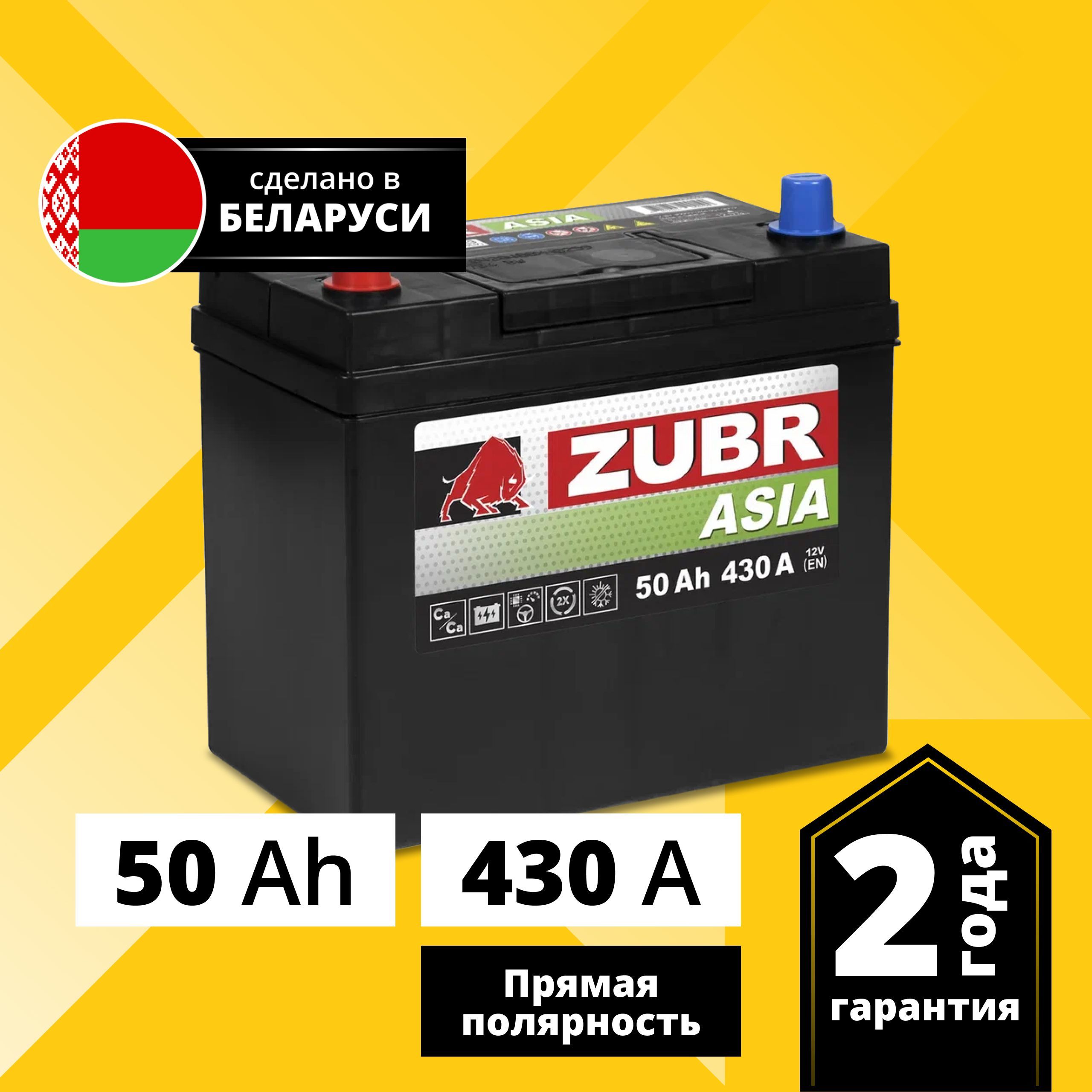 Аккумулятор автомобильный ZUBR Premium Asia 50 Ач 430 А прямая полярность ZPA501