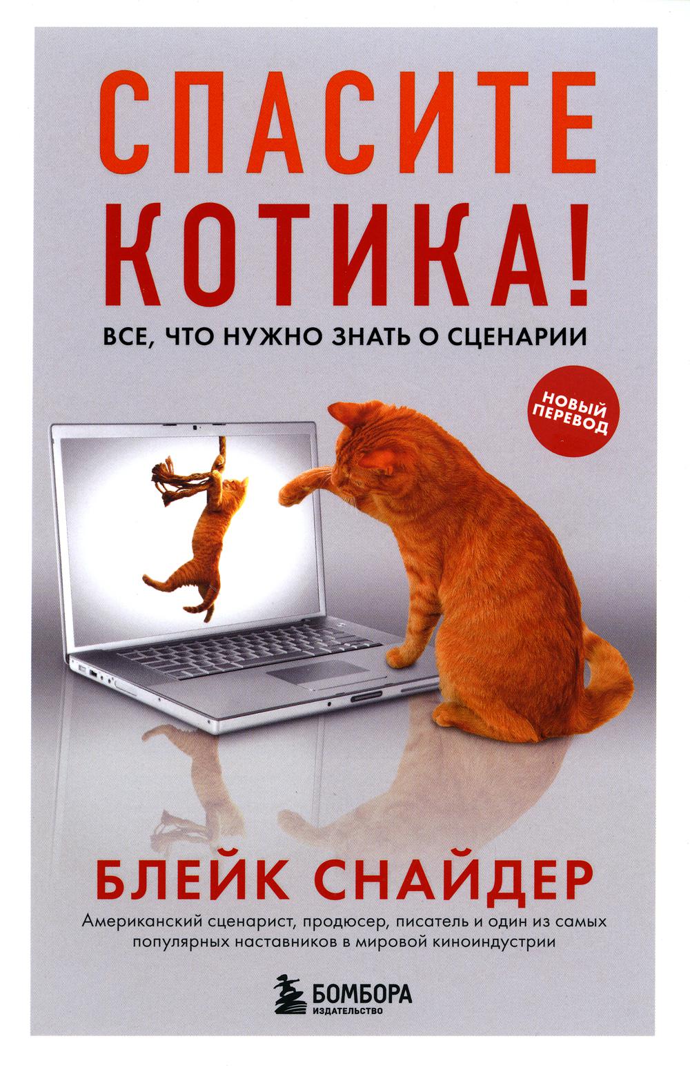 

Спасите котика! Все, что нужно знать о сценарии
