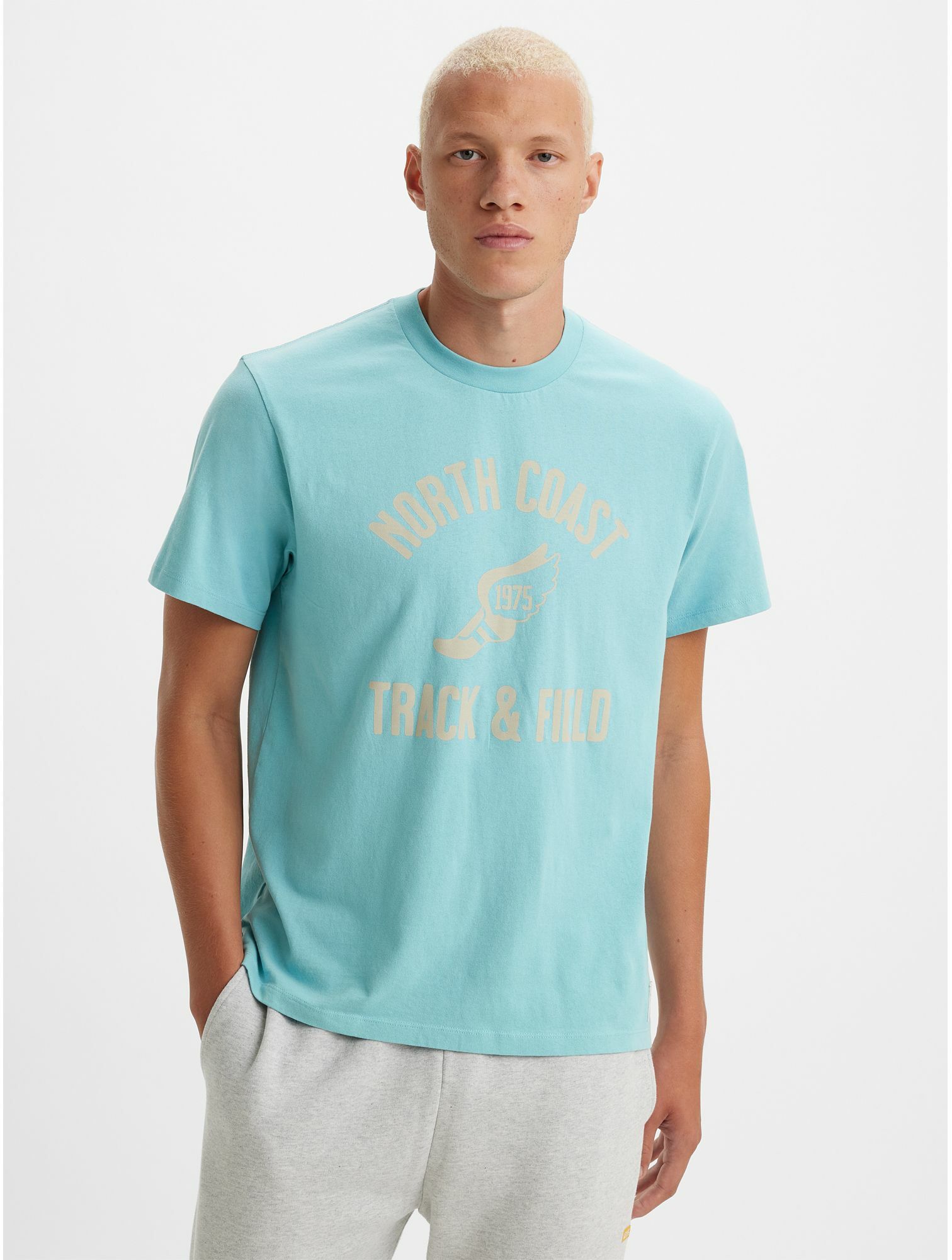 

Футболка мужская Levi's A3757-0020 голубая S, Голубой, A3757-0020