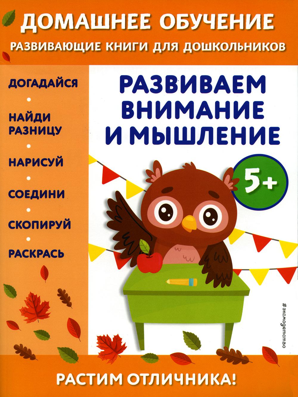 

Развиваем внимание и мышление: для детей от 5 лет