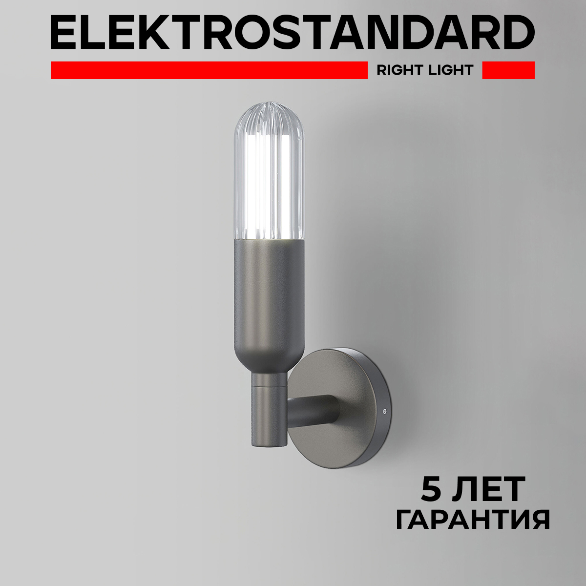 

Уличный настенный светодиодный светильник Elektrostandard ISIDA 35165/U 6W 4000К серый, ISIDA