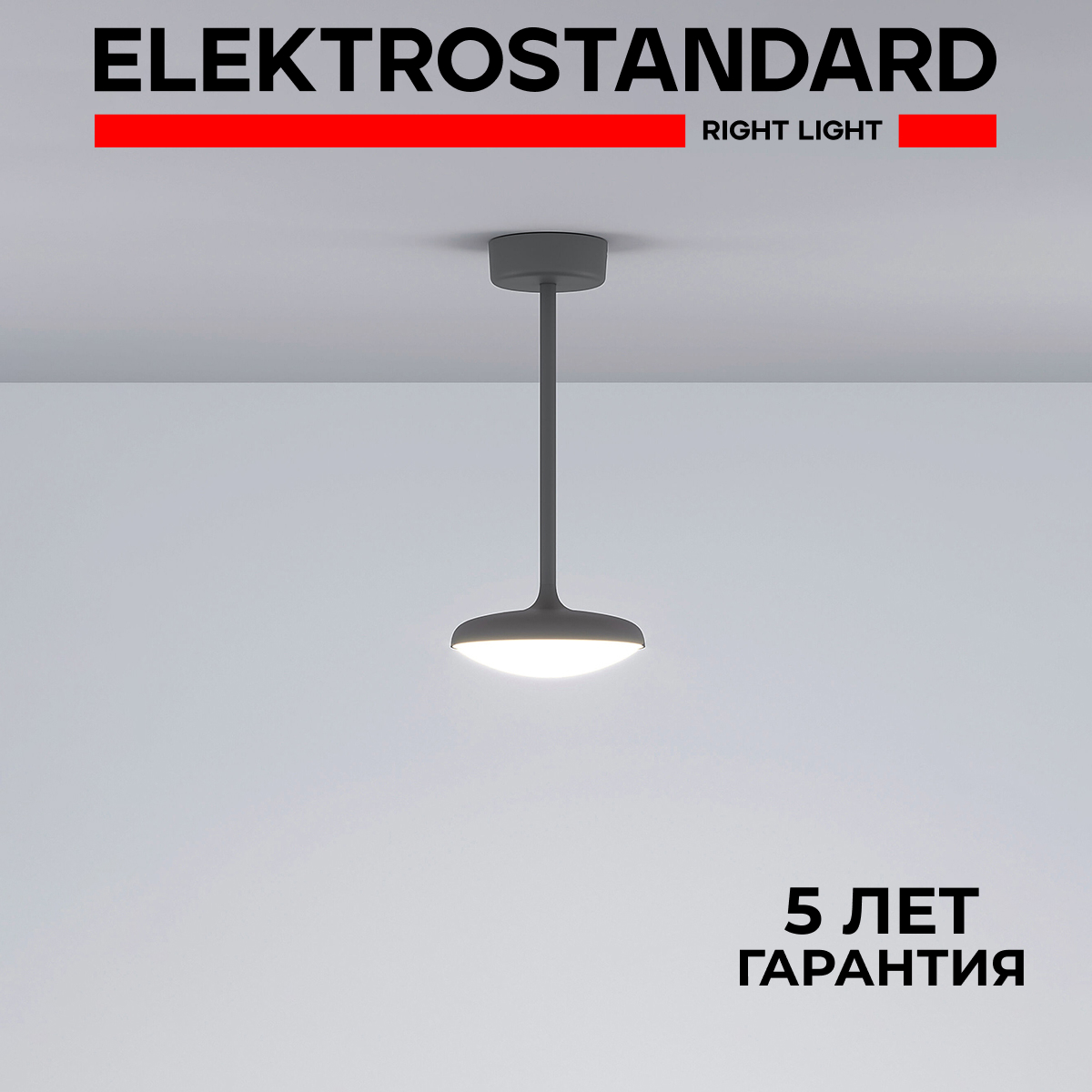 

Садовый светильник Elektrostandard Portal 35162/h, 35162/h