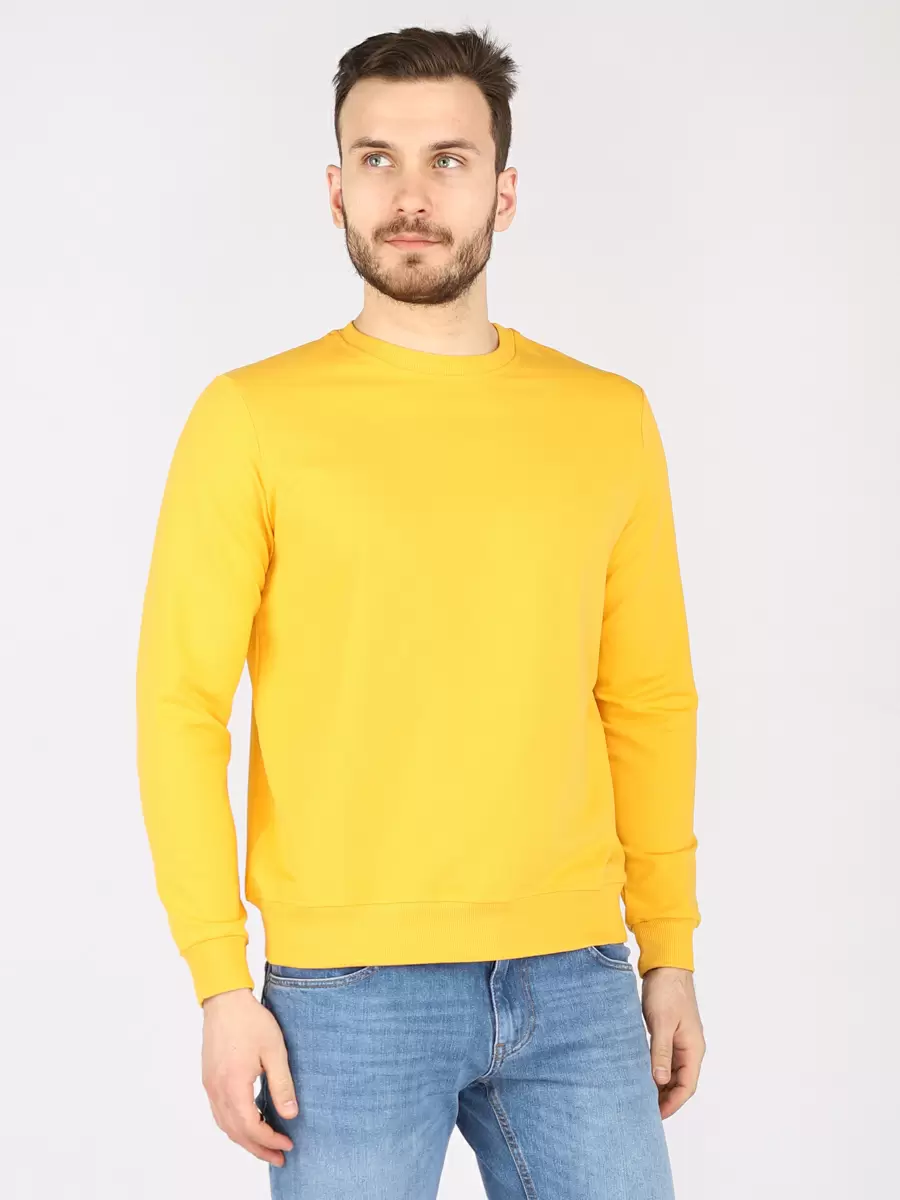 

Свитшот мужской A passion play 221TR(SZ-0037)-1301 желтый 2XL, 221TR(SZ-0037)-1301