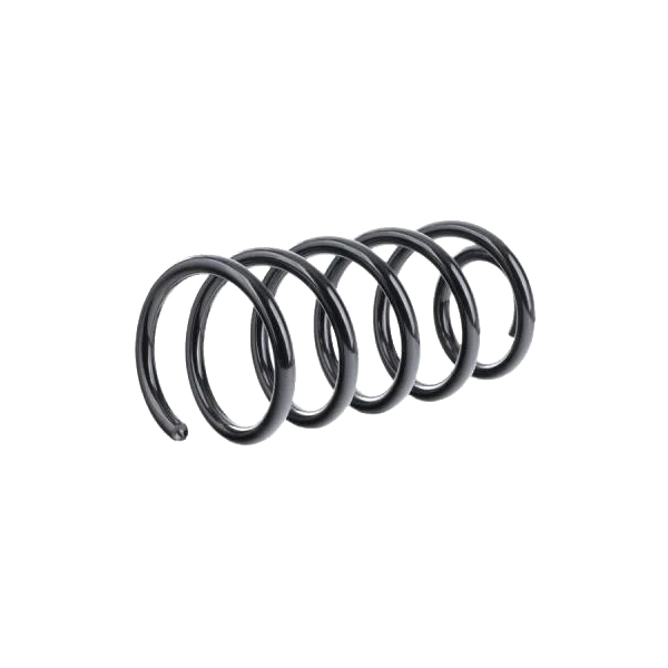 

Пружина Задней Подвески K-Flex Kia Carens Iii (2006-2012) KYB арт. RC6367